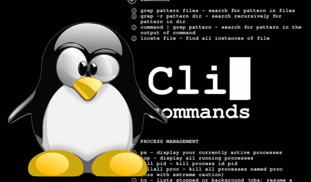 Basic Linux List Commands š§š»